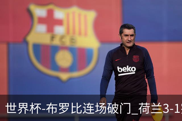 世界杯-布罗比连场破门 荷兰3-1突尼斯获小组头名将战摩洛哥