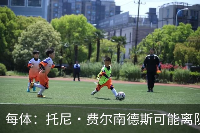 每体：托尼·费尔南德斯可能离队，塞维利亚和阿拉维斯对其有意